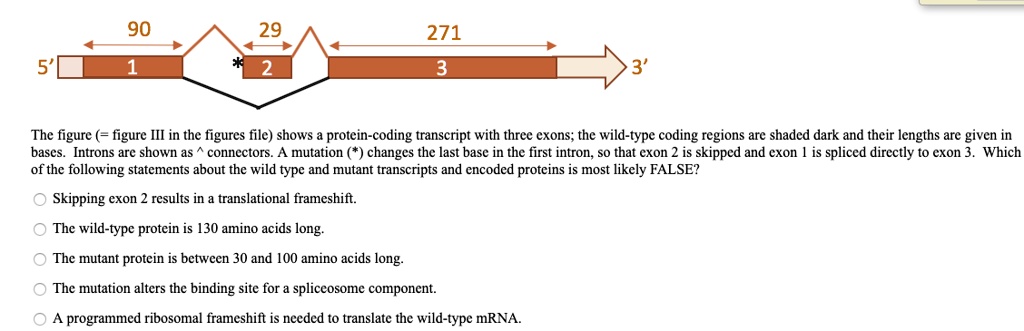 29 06 271 The figure III in the figures file shows protein-coding ...