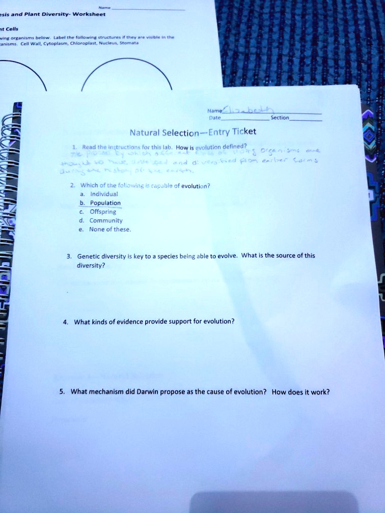SOLVED: Title: Evolution and Plant Diversity - Worksheet Cells Week 07 ...