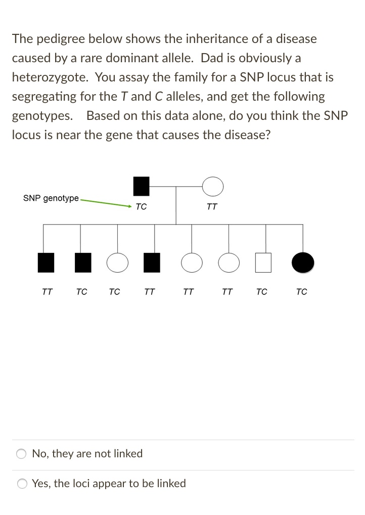 the pedigree below shows the inheritance of a disease caused by a rare ...