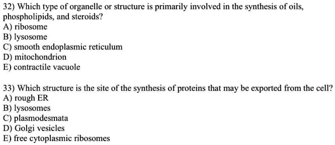 32) Which type of organelle or structure is primarily involved in the synthesis of oils, phospholipids, and steroids?
A) ribosome
B) lysosome
C) smooth endoplasmic reticulum
D) mitochondrion
E) contractile vacuole

33) Which structure is the site of the synthesis of proteins that may be exported from the cell?
A) rough ER
B) lysosomes
C) plasmodesmata
D) Golgi vesicles
E) free cytoplasmic ribosomes