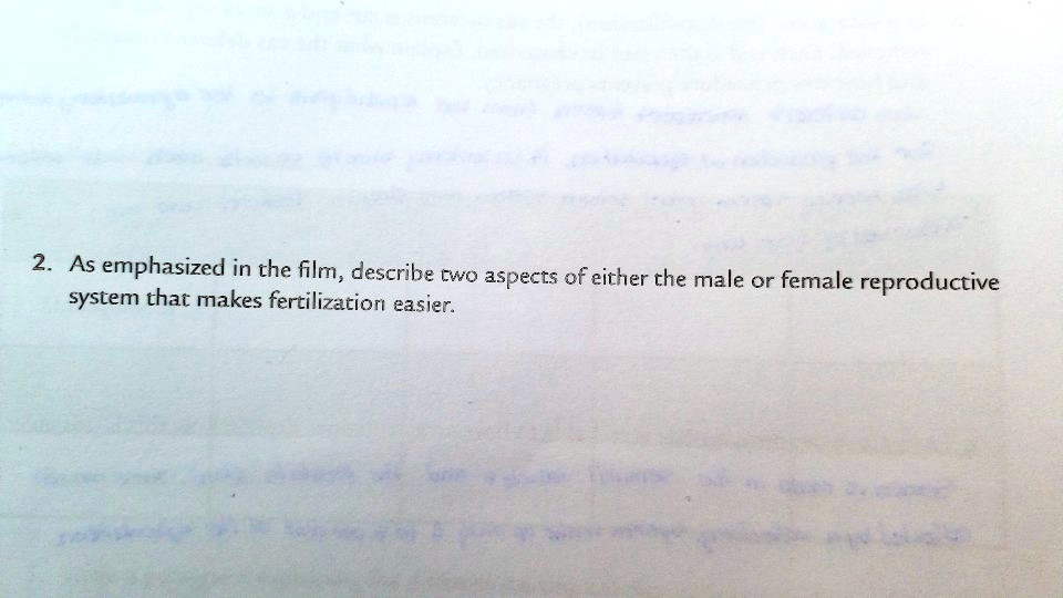 2. As emphasized in the film, describe two aspects of either the male or female reproductive system that makes fertilization easier.