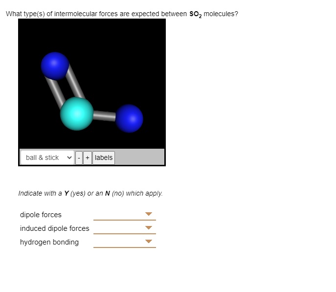 SOLVED: What type(s) of intermolecular forces are expected between SO2 ...