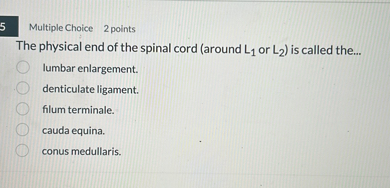 The physical end of the spinal cord (around L1 or L2) is called the...
lumbar enlargement.
denticulate ligament.
filum terminale.
cauda equina.
conus medullaris.