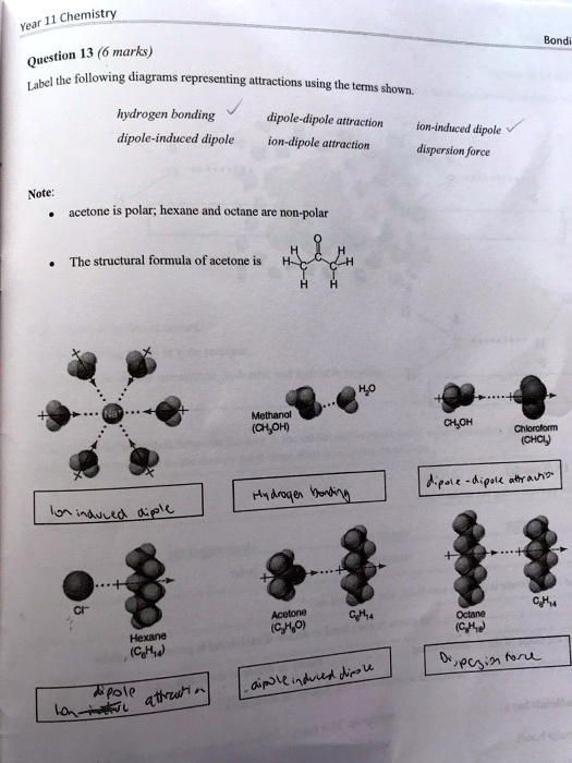 [GET ANSWER] Year 11 Chemistry Question 13 (6 marks) Label the ...