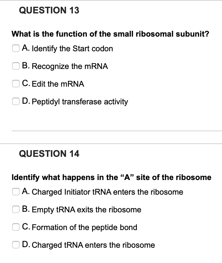SOLVED: QUESTION 13 What is the function of the small ribosomal subunit ...