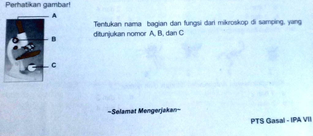 SOLVED: 45. Perhatikan Gambar! A Tentukan Nama Bagian Dan Fungsi Dari ...