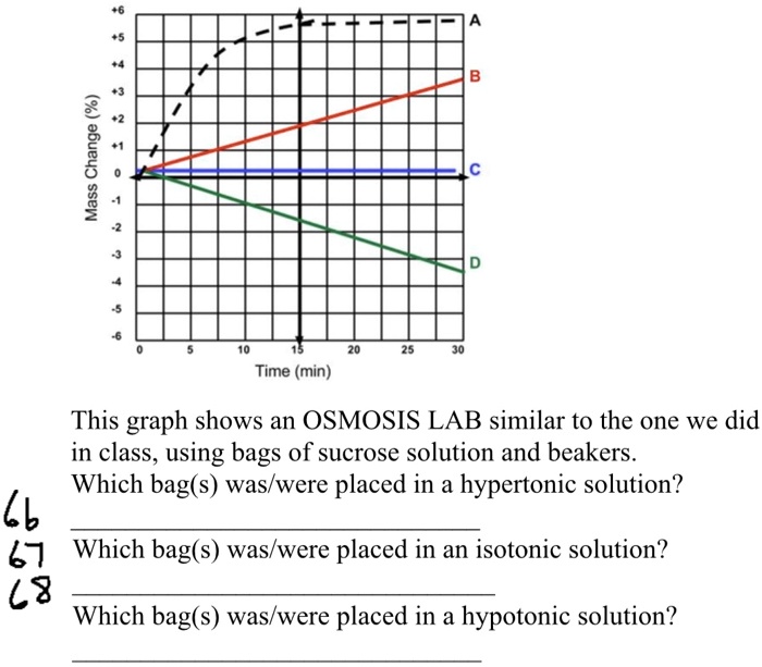 SOLVED: (%) Change Mass Time (min) This graph shows an OSMOSIS LAB ...