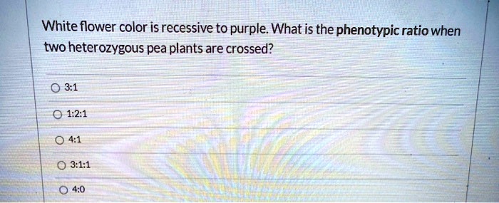 White flower color is recessive to purple. What is the phenotypic ratio when two heterozygous pea plants are crossed?
3:1
1:2:1
4:1
3:1:1
4:0