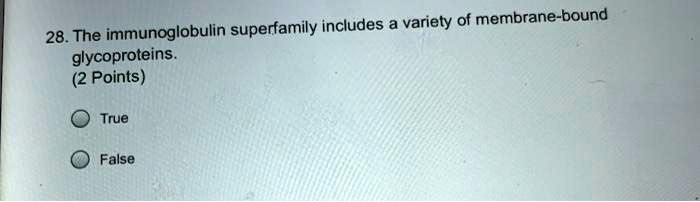 28. The immunoglobulin superfamily includes a variety of membrane-bound glycoproteins.
True
False