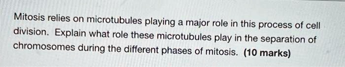 SOLVED: Mitosis relies on microtubules playing a major role in this ... Biology Diagrams
