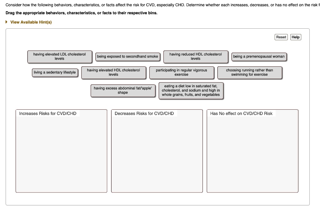 Consider how the following behaviors, characteristics, or facts affect the risk for CVD, especially CHD. Determine whether each increases, decreases, or has no effect on the risk for CVD/CHD.
Drag the appropriate behaviors, characteristics, or facts to their respective bins.
having elevated LDL cholesterol levels
being exposed to secondhand smoke
having reduced HDL cholesterol levels
being a premenopausal woman
living a sedentary lifestyle
having elevated HDL cholesterol levels
participating in regular vigorous exercise
choosing running rather than swimming for exercise
having excess abdominal fat/'apple' shape
eating a diet low in saturated fat, cholesterol, and sodium and high in whole grains, fruits, and vegetables
Increases Risks for CVD/CHD
Decreases Risks for CVD/CHD
Has No effect on CVD/CHD Risk