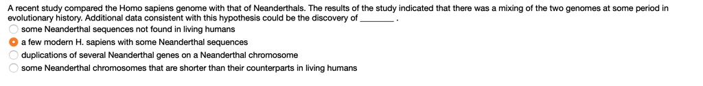 A recent study compared the Homo sapiens genome with that of Neanderthals. The results of the study indicated that there was a mixing of the two genomes at some period in evolutionary history. Additional data consistent with this hypothesis could be the discovery of .
some Neanderthal sequences not found in living humans
a few modern H. sapiens with some Neanderthal sequences
duplications of several Neanderthal genes on a Neanderthal chromosome
some Neanderthal chromosomes that are shorter than their counterparts in living humans