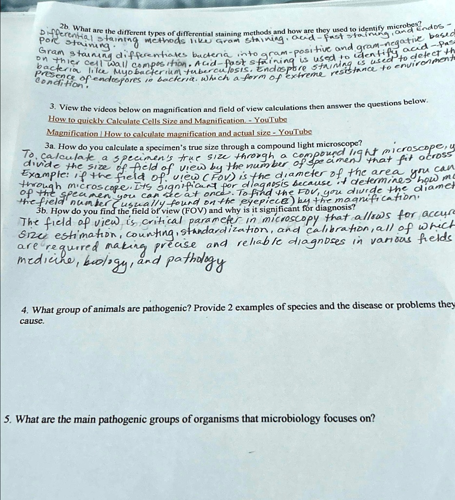 SOLVED: 2b. What are the different types of differential staining ...