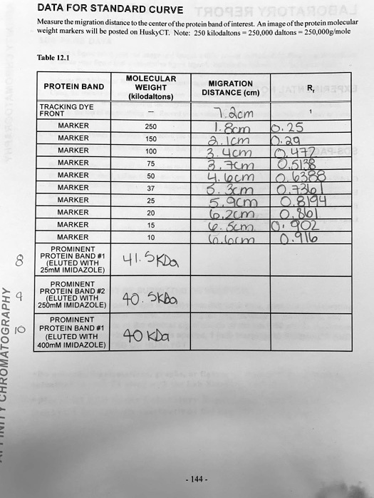 DATA FOR STANDARD CURVE
Measure the migration distance to the center of the protein band of interest. An image of the protein molecular weight markers will be posted on HuskyCT. Note: 250 kilodaltons = 250,000 daltons = 250,000g/mole
Table 12.1
PROTEIN BAND | MOLECULAR WEIGHT (kilodaltons) | MIGRATION DISTANCE (cm) | Rf
TRACKING DYE FRONT | - | 7.2cm | 1
MARKER | 250 | 1.8cm | 0.25
MARKER | 150 | 2.1cm | 0.29
MARKER | 100 | 3.4cm | 0.472
MARKER | 75 | 3.7cm | 0.5138
MARKER | 50 | 4.6cm | 0.6388
MARKER | 37 | 5.3cm | 0.7361
MARKER | 25 | 5.9cm | 0.8194
MARKER | 20 | 6.2cm | 0.861
MARKER | 15 | 6.5cm | 0.902
MARKER | 10 | 6.6cm | 0.916
PROMINENT PROTEIN BAND #1 (ELUTED WITH 25mM IMIDAZOLE) | 41.5KDa | | 
PROMINENT PROTEIN BAND #2 (ELUTED WITH 250mM IMIDAZOLE) | 40.5KDa | | 
PROMINENT PROTEIN BAND #1 (ELUTED WITH 400mM IMIDAZOLE) | 40 KDa | | 
