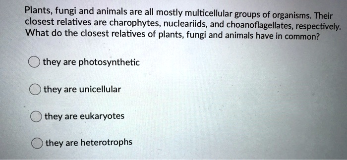 SOLVED: Plants; fungi and animals are all mostly multicellular groups ...