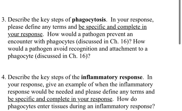 3. Describe the key steps of phagocytosis. In your response,
please define any terms and be specific and complete in
your response. How would a pathogen prevent an
encounter with phagocytes (discussed in Ch. 16)? How
would a pathogen avoid recognition and attachment to a
phagocyte (discussed in Ch. 16)?
4. Describe the key steps of the inflammatory response. In
your response, give an example of when the inflammatory
response would be needed and please define any terms and
be specific and complete in your response. How do
phagocytes enter tissues during an inflammatory response?