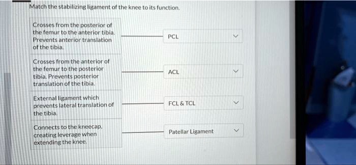 SOLVED: Match the stabilizing ligament of the knee to its function ...