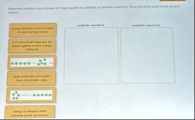 determine whether each phrase or image applies to catabolic or anabolic rascions drag and drop each so the correct column zer more small molecules are friked logether so form a large moresti 37916