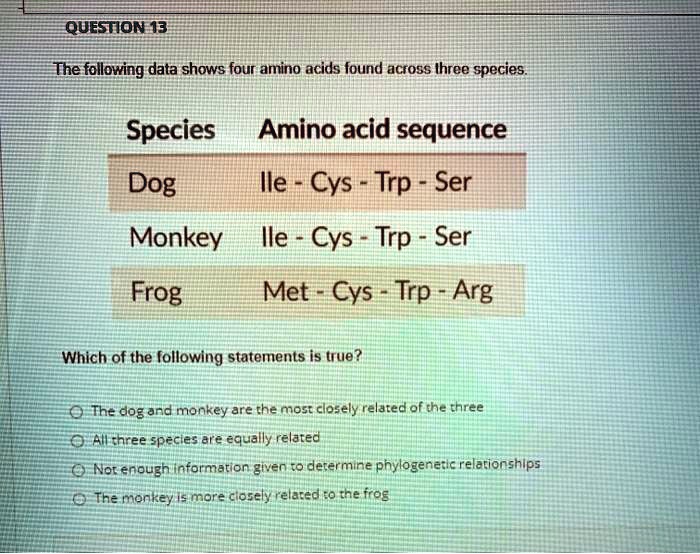 questione13 the following data shows four amino acids found across 