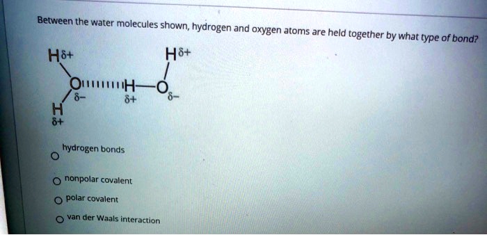 Between the water molecules shown, hydrogen and oxygen atoms are held together by what type of bond?

hydrogen bonds
nonpolar covalent
polar covalent
van der Waals interaction