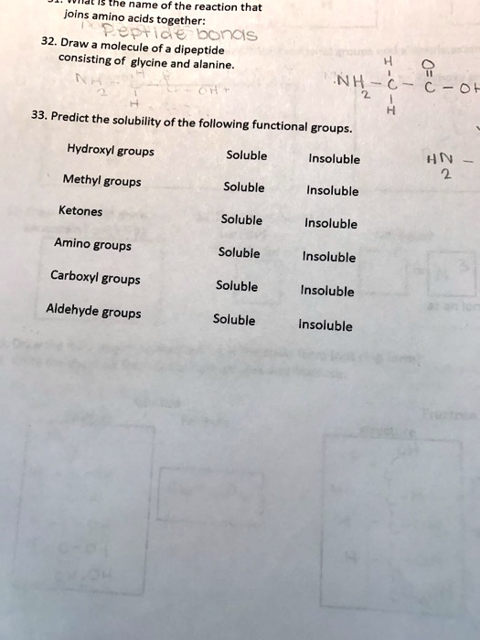 SOLVED 15 [ne name of the reaction that joins amino acids together ep