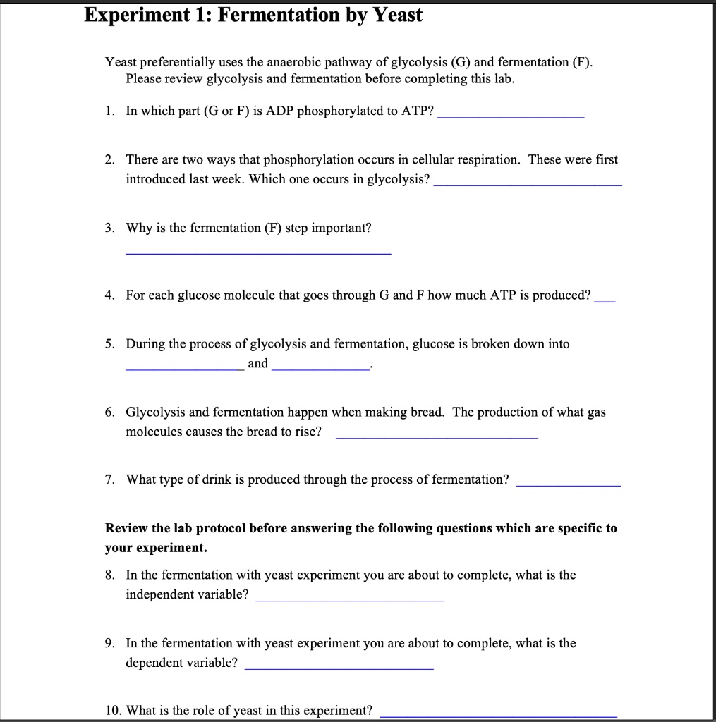 SOLVED Experiment I Fermentation by Yeast Yeast preferentially uses