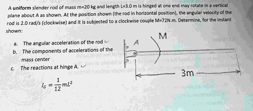 a uniform slender rod of mass m20 kg and length l30 m is hinged at one ...