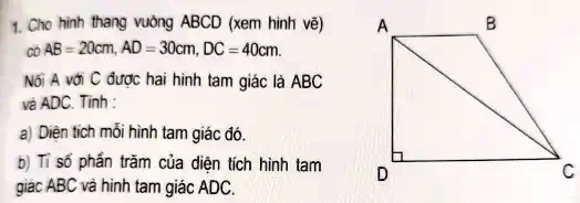 1. Cho hình thang vuông ABCD (xem hình v?)
có AB = 20cm, AD = 30cm, DC = 40cm.
N?i A v?i C ???c hai hình tam giác là ABC
và ADC. Tính :
a) Di?n tích m?i hình tam giác ?ó.
b) T? s? ph?n tr?m c?a di?n tích hình tam
giác ABC và hình tam giác ADC.