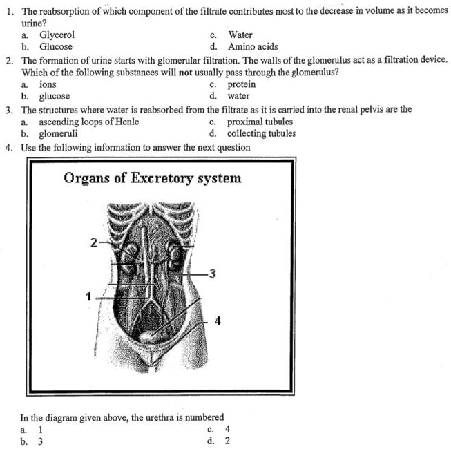 SOLVED The reabsorption of which component of the filtrate contributes