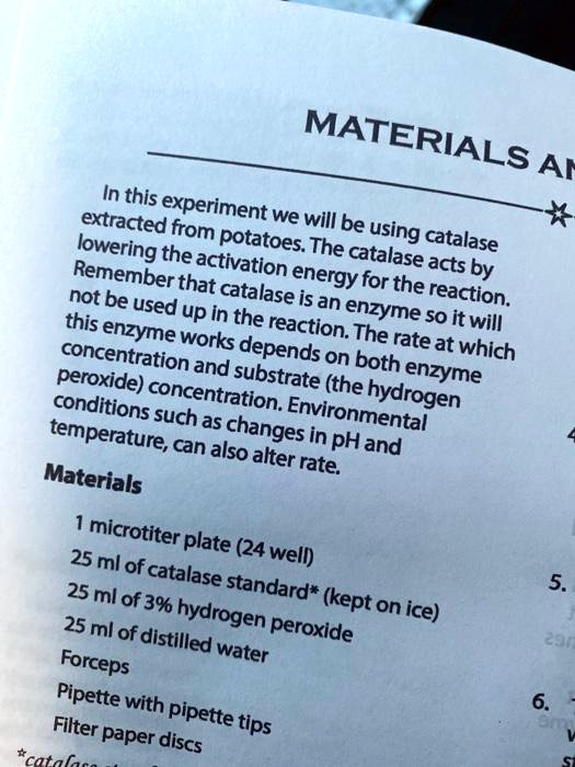 catalase in potatoes experiment