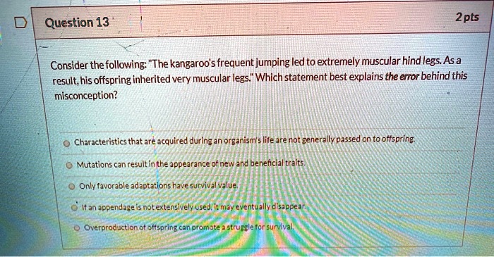 solved-question-13-2pts-consider-the-following-the-kangaroo-s