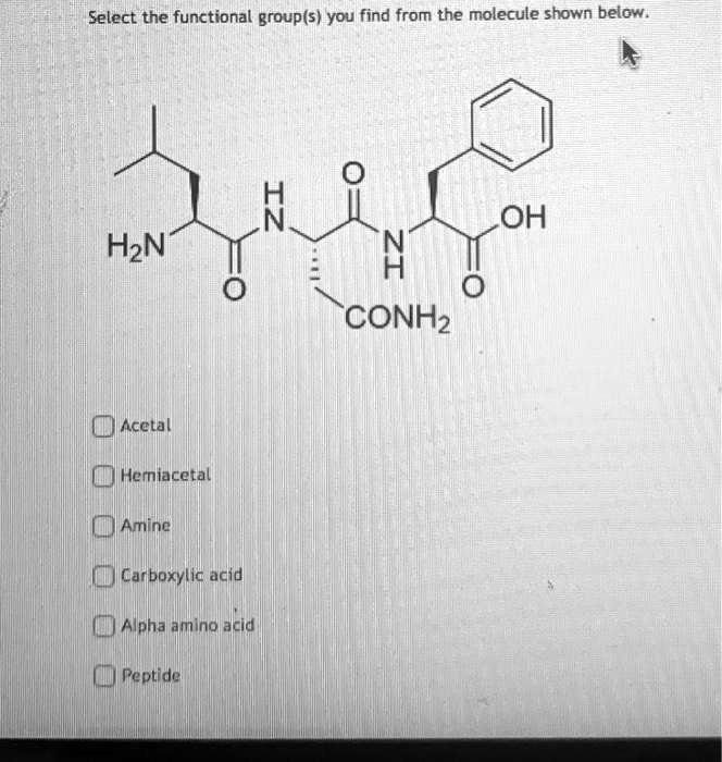 Select the functional group(s) you find from the molecule shown below.
H2N
NH
O
OH
NH
O
CONH2
Acetal
Hemiacetal
Amine
Carboxylic acid
Alpha amino acid
Peptide