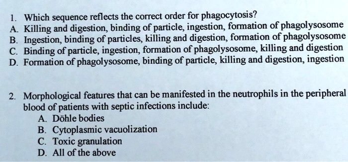 SOLVED: Which sequence reflects the correct order for phagocytosis ...