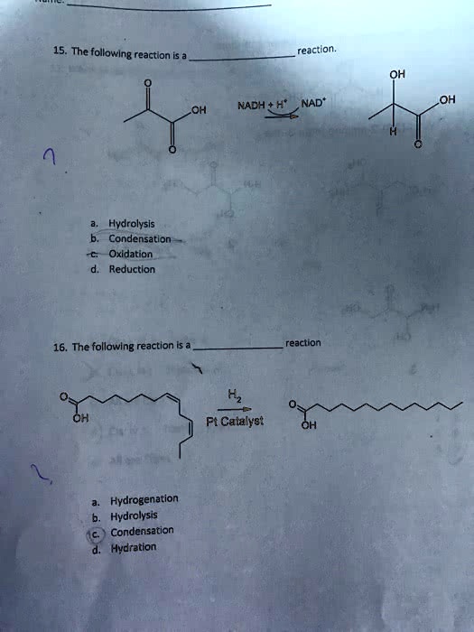 SOLVED: ' Explain please The following reaction is a reaction ...