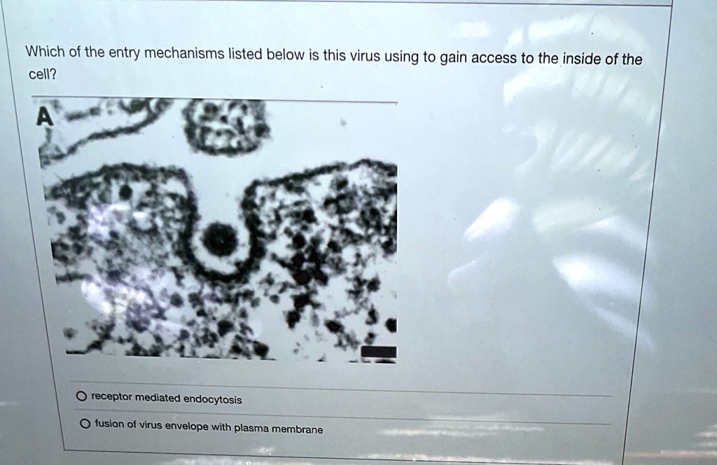 'Which of the entry mechanisms listed below is this virus using to gain ...