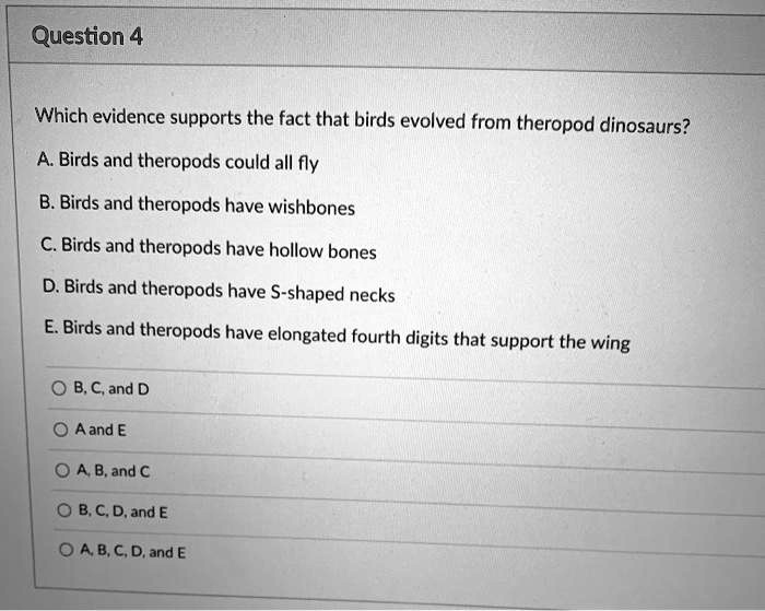 Which evidence supports the fact that birds evolved from theropod dinosaurs?
A. Birds and theropods could all fly
B. Birds and theropods have wishbones
C. Birds and theropods have hollow bones
D. Birds and theropods have S-shaped necks
E. Birds and theropods have elongated fourth digits that support the wing

B, C, and D
A and E
A, B, and C
B, C, D, and E
A, B, C, D, and E