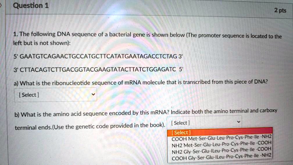 SOLVED: Question 1 2pts 1. The following DNA sequence of a bacterial ...