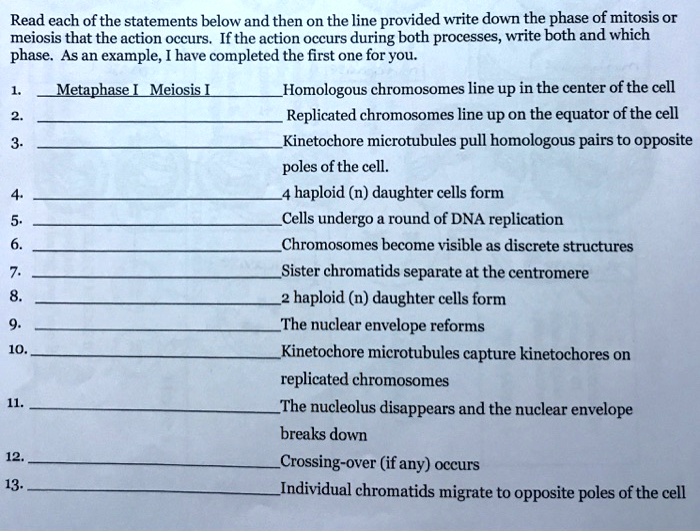 Read each of the statements below and then on the line provided write down the phase of mitosis or
meiosis that the action occurs. If the action occurs during both processes, write both and which
phase. As an example, I have completed the first one for you.

1. Metaphase I Meiosis I Homologous chromosomes line up in the center of the cell
2.  Replicated chromosomes line up on the equator of the cell
3.  Kinetochore microtubules pull homologous pairs to opposite
poles of the cell.
4.  4 haploid (n) daughter cells form
5.  Cells undergo a round of DNA replication
6.  Chromosomes become visible as discrete structures
7.  Sister chromatids separate at the centromere
8.  2 haploid (n) daughter cells form
9.  The nuclear envelope reforms
10.  Kinetochore microtubules capture kinetochores on
replicated chromosomes
11.  The nucleolus disappears and the nuclear envelope
breaks down
12.  Crossing-over (if any) occurs
13.  Individual chromatids migrate to opposite poles of the cell