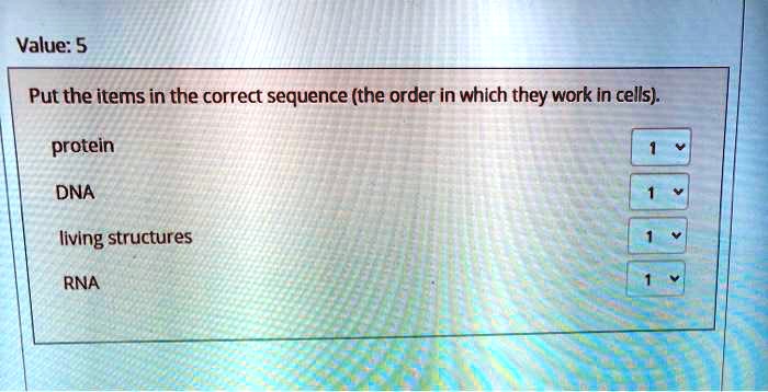 SOLVED: Value: 5 Put the items in the correct sequence (the order in ...