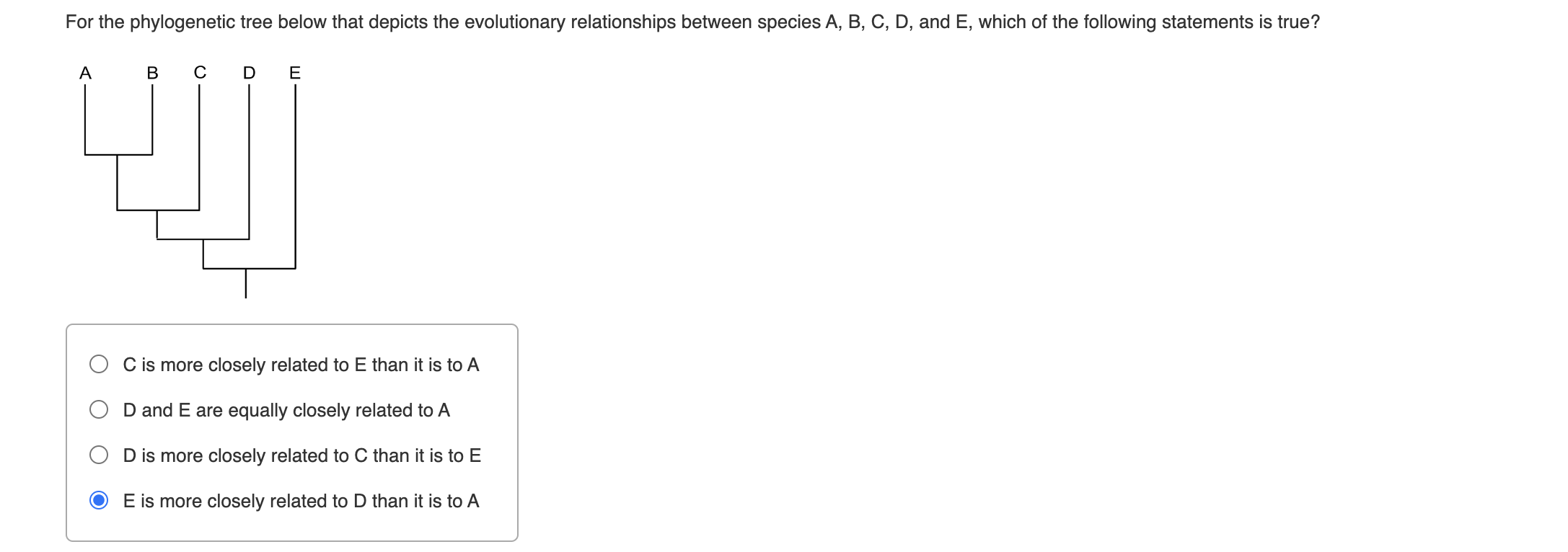 Based On This Tree Select The Correct Statement SOLVED: For the phylogenetic tree below that depicts the evolutionary