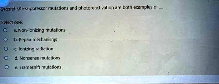 SOLVED: Second-site suppressor mutations and photoreactivation are both ...
