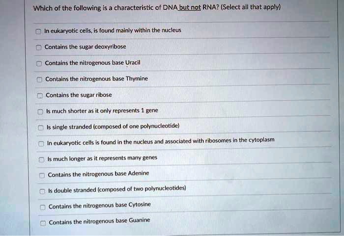 Which of the following is a characteristic of DNA but not RNA? (Select all that apply)
In eukaryotic cells, is found mainly within the nucleus
Contains the sugar deoxyribose
Contains the nitrogenous base Uracil
Contains the nitrogenous base Thymine
Contains the sugar ribose
Is much shorter as it only represents 1 gene
Is single stranded (composed of one polynucleotide)
In eukaryotic cells is found in the nucleus and associated with ribosomes in the cytoplasm
Is much longer as it represents many genes
Contains the nitrogenous base Adenine
Is double stranded (composed of two polynucleotides)
Contains the nitrogenous base Cytosine
Contains the nitrogenous base Guanine
