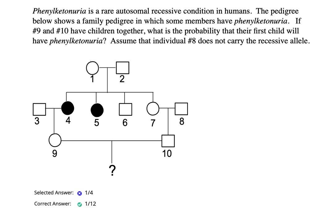 SOLVED: Phenylketonuria is a rare autosomal recessive condition in ...