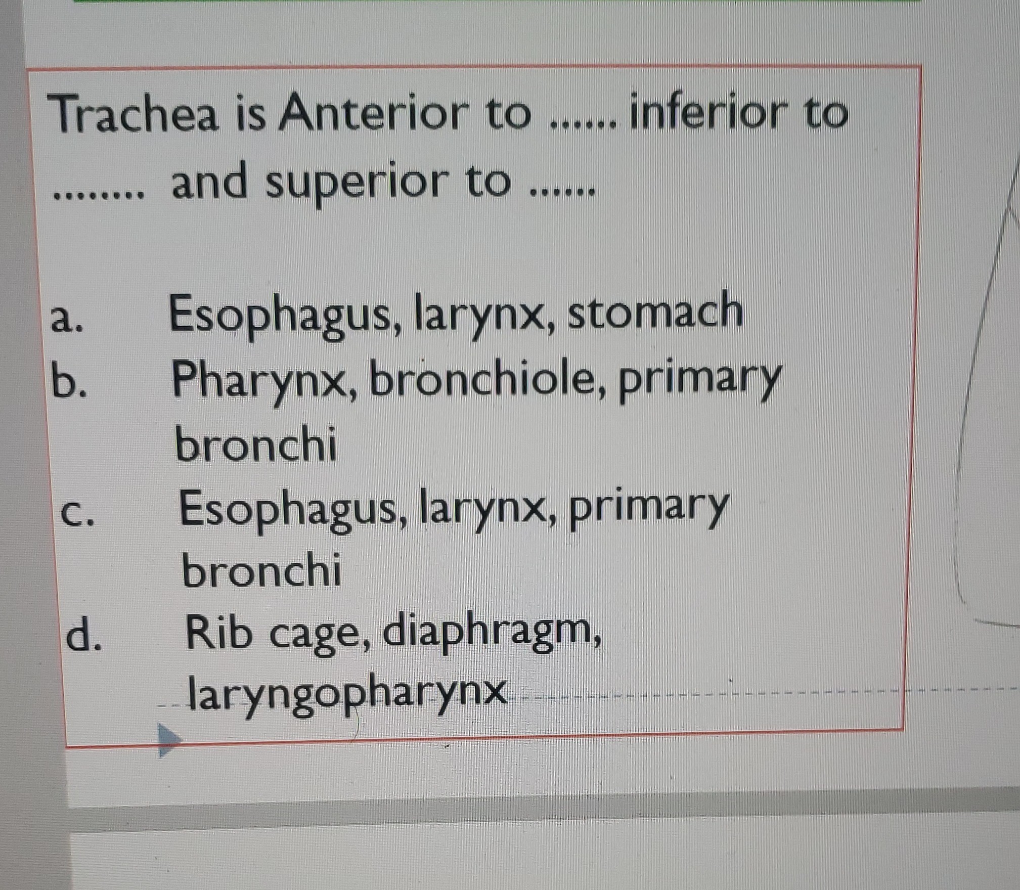 SOLVED: Trachea Is Anterior To Inferior To And Superior To ...... A ...