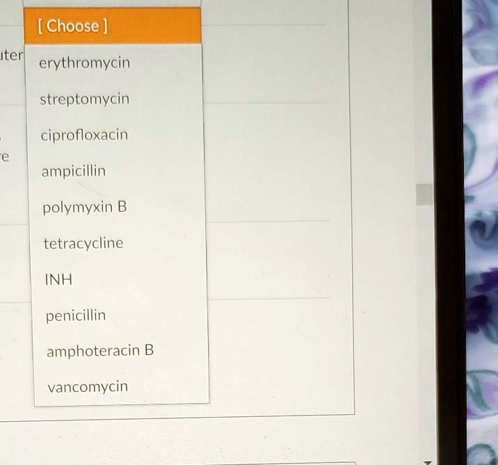 [ Choose ]
erythromycin
streptomycin
ciprofloxacin
ampicillin
polymyxin B
tetracycline
INH
penicillin
amphoteracin B
vancomycin