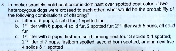 3. In cocker spaniels, solid coat color is dominant over spotted coat color. If two heterozygous dogs were crossed to each other, what would be the probability of the following combinations of offspring?
a. Litter of 5 pups, 4 solid fur, 1 spotted fur
b. 1st litter with 6 pups, 4 solid fur, 2 spotted fur; 2nd litter with 5 pups, all solid fur
c. 1st litter with 5 pups, firstborn solid, among next four 3 solids     1 spotted;
2nd litter of 7 pups, firstborn spotted, second born spotted, among next five
4 solids     1 spotted