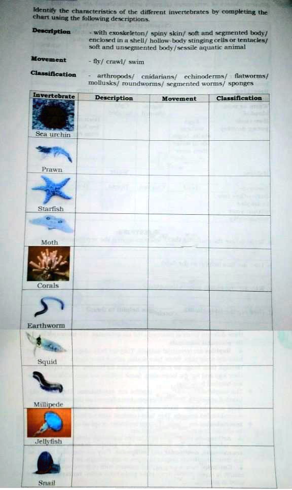 SOLVED: Identify the characteristics of the different invertebrates by