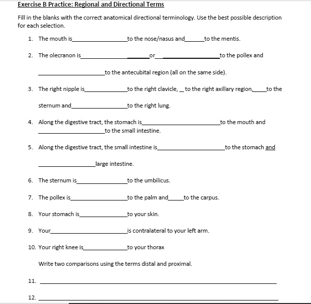 SOLVED: Text: Exercise B Practice: Regional And Directional Terms Fill ...