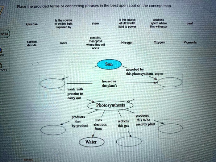 SOLVED: Place the provided terms connecting phrases in the best open ...