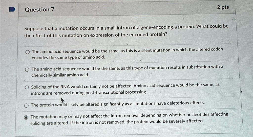 SOLVED: Question 7 2 pts Suppose that a mutation occurs in a small ...